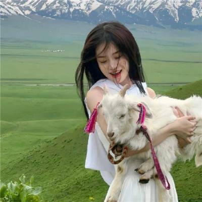 威廉泽罗的重建
