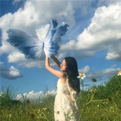 高清资源